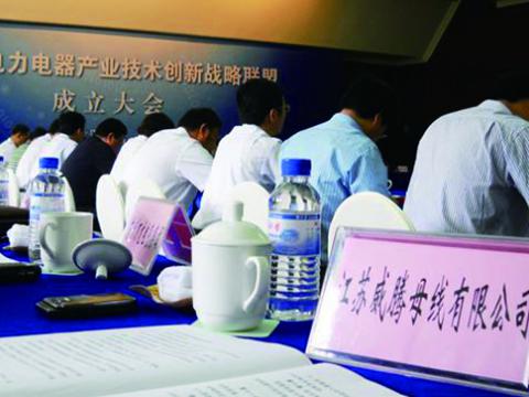 5001拉斯维加斯母线参与江苏省电力电器产业技术创新战术同盟