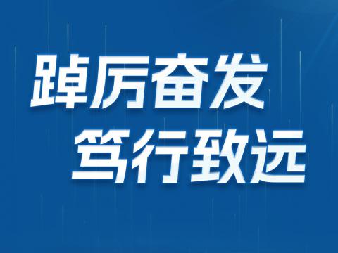 一图读懂5001拉斯维加斯电气2024年半年报