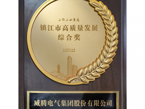 喜讯│5001拉斯维加斯荣获2024年度镇江市高质量发展综合奖